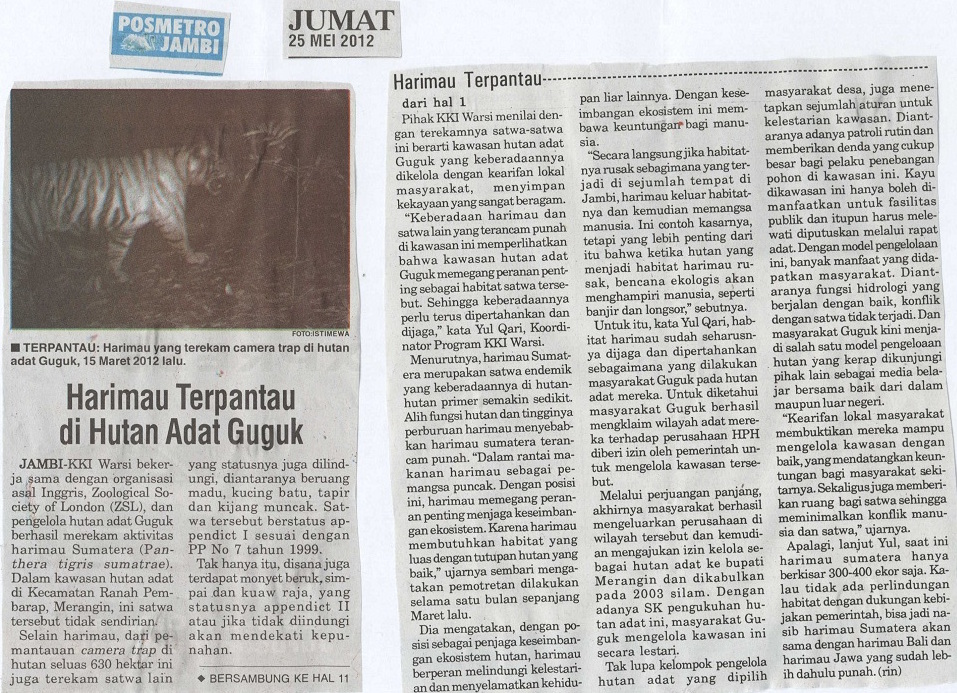 harimau hutan adat guguk