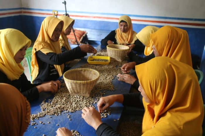 Kelompok Wanita Tani KWT) Himawari juga dilibatkan dalam pengolahan produk kopi "Codot". 