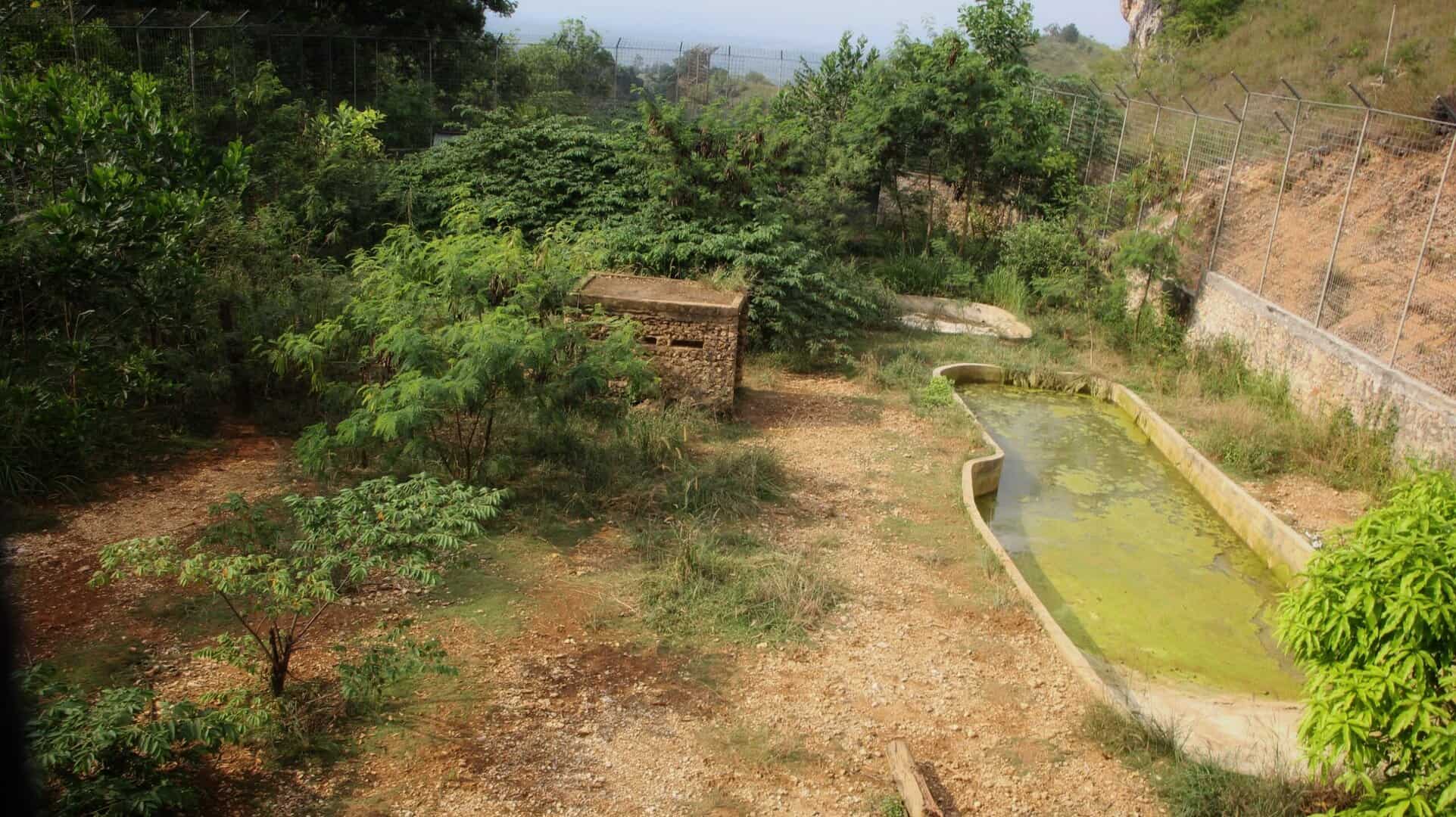 Kandang semi alami di BNWS, rumah sementara empat harimau Sumatera, Gadis, Monang dan dua anaknya. Bentang alam SM Barumun tampak dari kejauhan. Foto: Ayat S Karokaro/Mongabay Indonesia