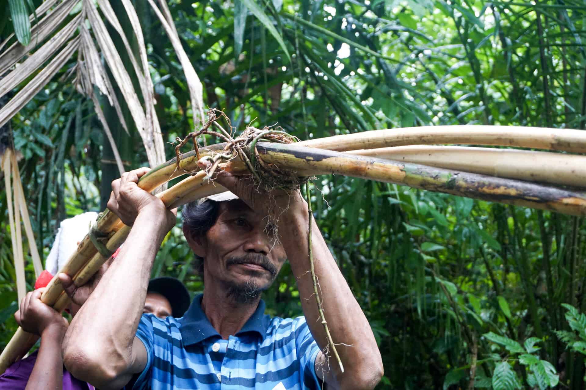 Warga sedang memanen rotan mereka. Rotan merupakan komoditas HKm yang menjadi sumber pendapatan alternatif masyarakat. 